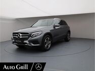 Mercedes GLC 250, d PanoDa Mem, Jahr 2017 - Ebersberg