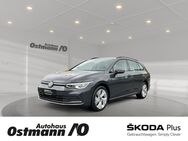 VW Golf Variant, Golf VIII Style 110kw TDI MASSAGE, Jahr 2021 - Niestetal