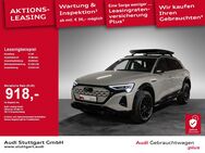 Audi Q8, edition Dakar 55 quattro, Jahr 2024 - Stuttgart