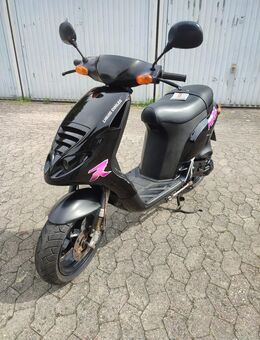 Piaggio NRG MC1 Sal1 no TPH ZIP Runner - Salzgitter