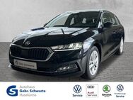 Skoda Octavia, 2.0 TDI Combi First Edition, Jahr 2021 - Haselünne