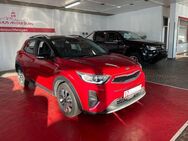 Kia Stonic Vision *Apple/Android+ Navi+ Assist.Paket - Friedberg (Hessen)