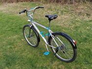 Fahrrad, 26 Zoll Urban Cruiser, Shimano DeoreLX Ausstattung - Köln