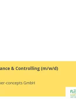 Head of Finance & Controlling (w/m/d) - Sinsheim