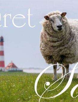 Wie? Dein Nachbar ist ein Filmstar? - Westerhever
