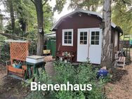 Suche Freundin für Freundschaft - Bremen