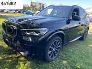 BMW X5 xDr30 M Sport LED 360 Pano DrivingAs CockpPro - Steinbach-Hallenberg