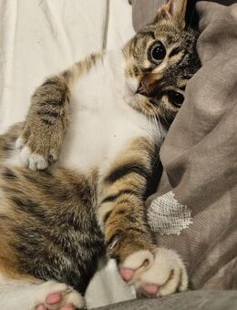 Maja Kleine Entdeckerin, großes Herz ❤ - München