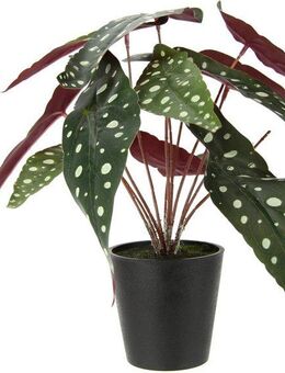 Kunstpflanze Strauchbegonie, I.GE.A., Höhe 26 cm, Im Topf, Seidenblumen, Real Touch Kunstpflanzen
