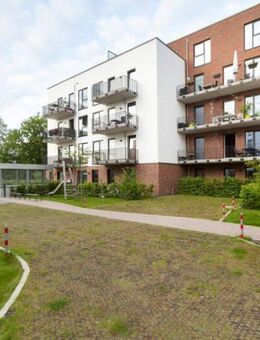 Modere Wohnung in Lüneburg zur Miete- Wentzel Dr. - Lüneburg