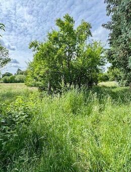 Schöne Doppelhaushälfte mit Traumgrundstück und Bauland im Grünen- - Vellahn