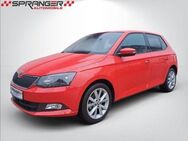 Skoda Fabia 1.2 Joy Navi Klimaaut. SHZG DAB - Calden