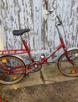 Rotes Minirad + Kinderrad - Brandenburg (Havel)