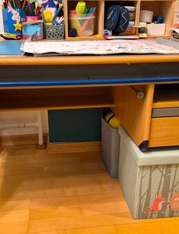 Schreibtisch von Moll, Höhenverstellbar und neigbar - Freiburg (Breisgau)