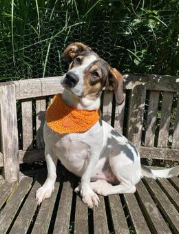 Fialka ❤️❤️ - Burgsinn