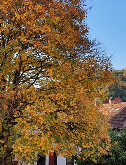 Moderne, außergewöhnliche Penthouse-Wohnung mit spektakulärem Blick auf die Burgen Weinheims - Weinheim