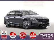 Skoda Octavia, Combi TDI Sportl Facel, Jahr 2024 - Kehl