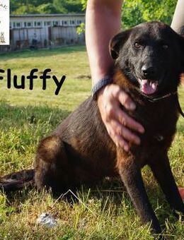 Fluffy ein bisschen Wirbel ... - Kissing