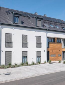 helle, freundliche 2 Zimmerwohnung zu vermieten - Wohnung 1 - Bitburg