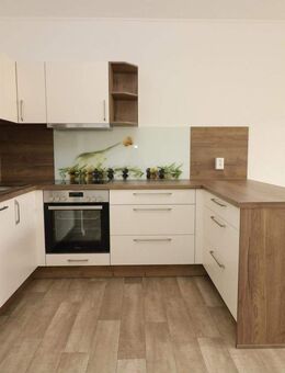Neu sanierte Wohnung mit Einbauküche u. Wanne sucht Chefkoch!!! - Freiberg