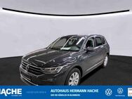 VW Tiguan, 2.0 TDI Life, Jahr 2023 - Blomberg (Nordrhein-Westfalen)