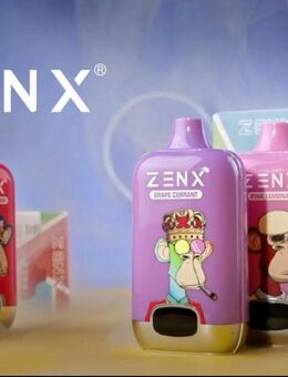 Vape - ZenX - Fumot - Augsburg