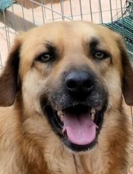 Nicolas R wartet in 91623 Sachsen - Mettmann