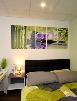 verfügbares 1-Zimmer-Apartment für 2 Personen, modern und voll ausgestattet, zentral Offenbach - Offenbach (Main)