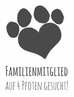 Familienhund gesucht - Kalbe (Milde)
