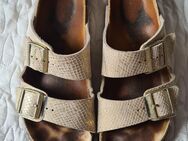 Birkenstock Größe 40 - Kiel
