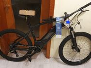 Rockrider E-ST 500 e-Mountainbike - Homburg