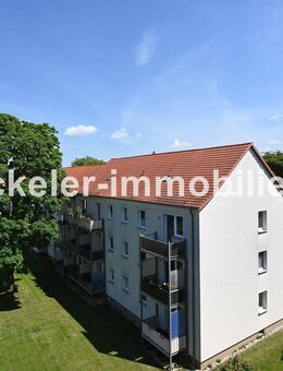 Große Familien finden hier ihr Wohnglück! - Lucka