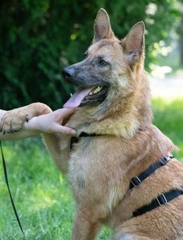 Emmy jung, freundlich und bereit - Obertshausen