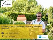 Förster (m/w/d) Stadtwald & Leitung Wild-Park Klaushof - Bad Kissingen