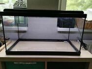 Aquarium60x30X34cm von Aquatlantis - Hannover Linden-Limmer