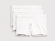 YSABEL MORA Boxershorts BASIC COLLECTION COTTON (3er Pack) mit perfektem Material und Passform für jeden Mann