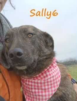 Sally6 ruhig, sanft & wunderschön! GRC - Ruppertsecken