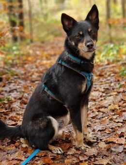 Sam- auf Ps Nähe Nürnberg - Nürnberg