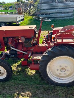 Traktor der österreichischen Marke Warchalowski zu verkaufen - Meckenbeuren