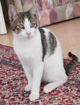 Colin - Weilmünster