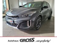 Kia XCeed, 1.6 T EU6d GT-Line Sportpaket El Panodach digitales, Jahr 2023 - Amberg