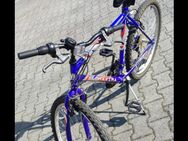 Mountainbike, gut in Schuss, zu verkaufen - Berlin