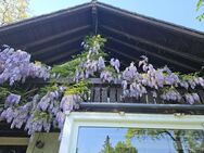 Echt jetzt? Freistehendes Einfamilienhaus mit Garage und großem sonnigen Grundstück auf der Mettnau - Radolfzell (Bodensee)