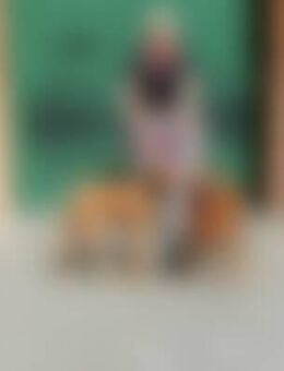 Ami*** - Greven (Nordrhein-Westfalen)