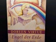 Engel der Erde: Die geistigen Helfer unseres Planeten Doreen Virtue Taschenbuch - Essen