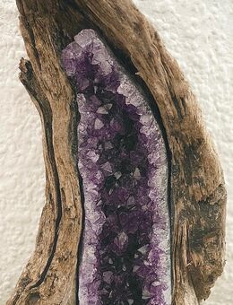 Getrocknete Schwemmholz Wurzel - München