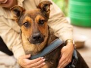 Peekaboo sucht ihre Traumfamilie - München