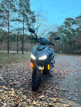 Motorroller Alphamotors Mustang F1 50ccm- Nur 130KM- 2025 - Treuenbrietzen