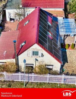 Einmal viel Haus und viel Grundstück - Zechin