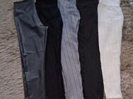 Damenlegging (Neu) Gr.M - Krefeld